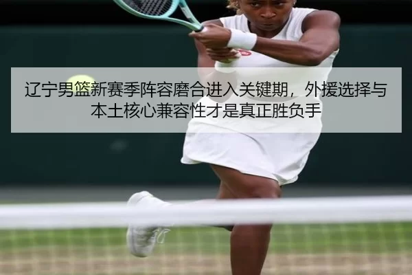 辽宁男篮新赛季阵容磨合进入关键期，外援选择与本土核心兼容性才是真正胜负手
